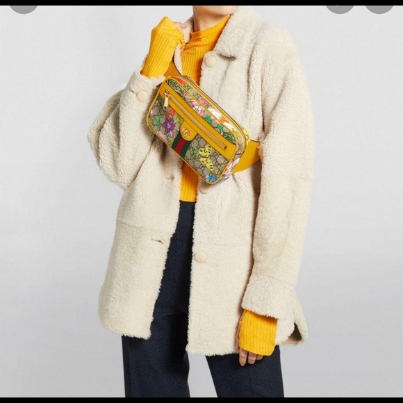 Gucci limited edition belt bag/body bag - Picture 3 of 17